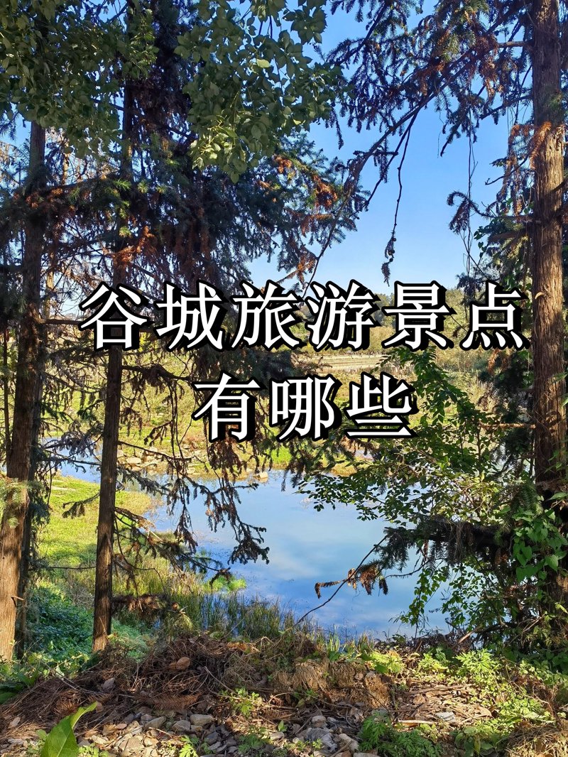 走进谷城美食文化